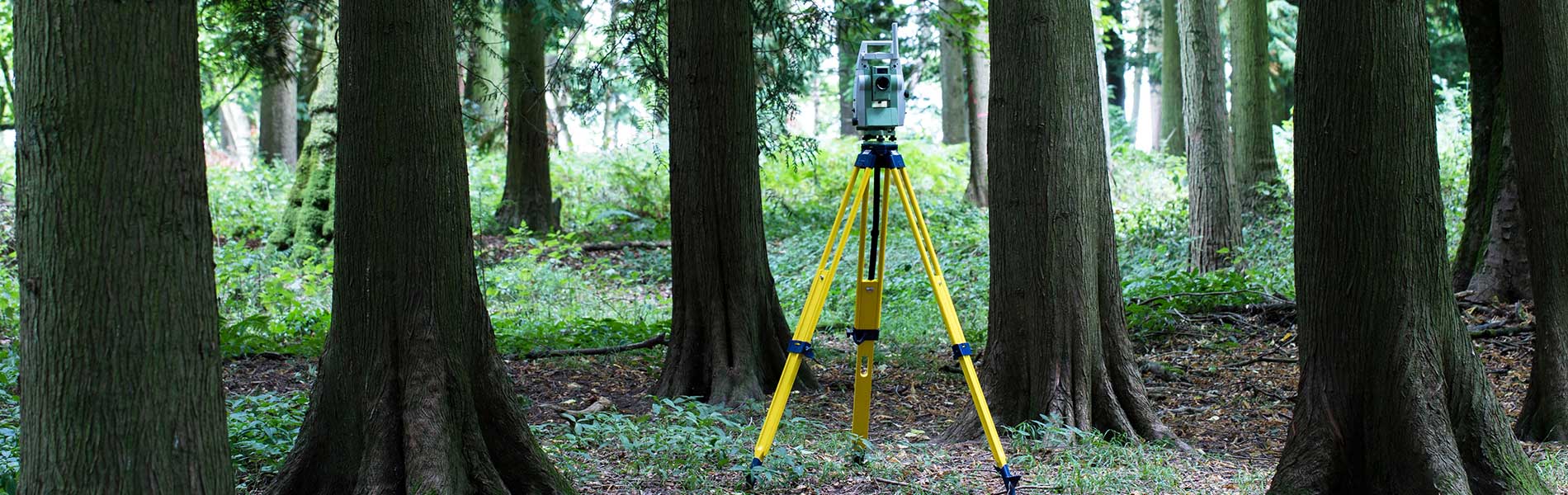 Licensed Surveyors